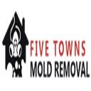 five towns mold removal logo